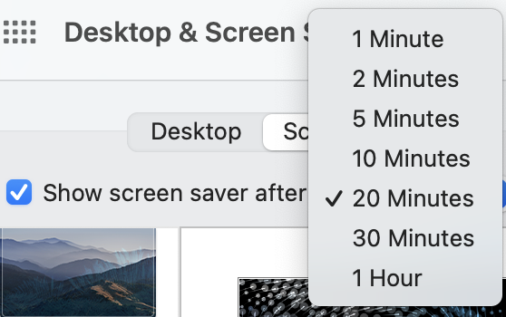 Default Screen Saver time options